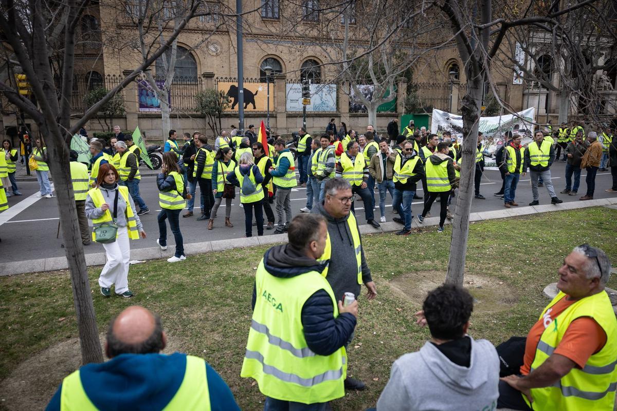 En imágenes | Los protestas agrícolas vuelven a las puertas de La Aljafería