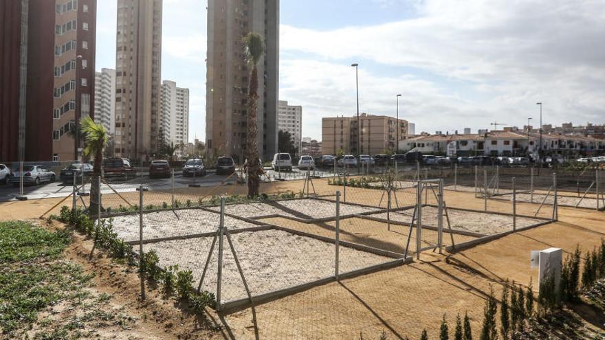 Los huertos urbanos de Benidorm, a sorteo