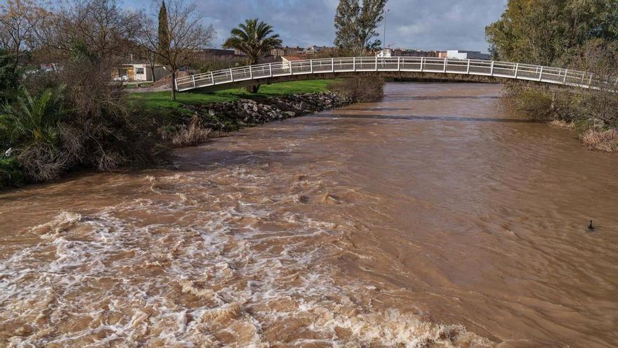 El viento tumba árboles en Mérida y la oficina del temporal seguirá abierta tras atender 78 incidencias