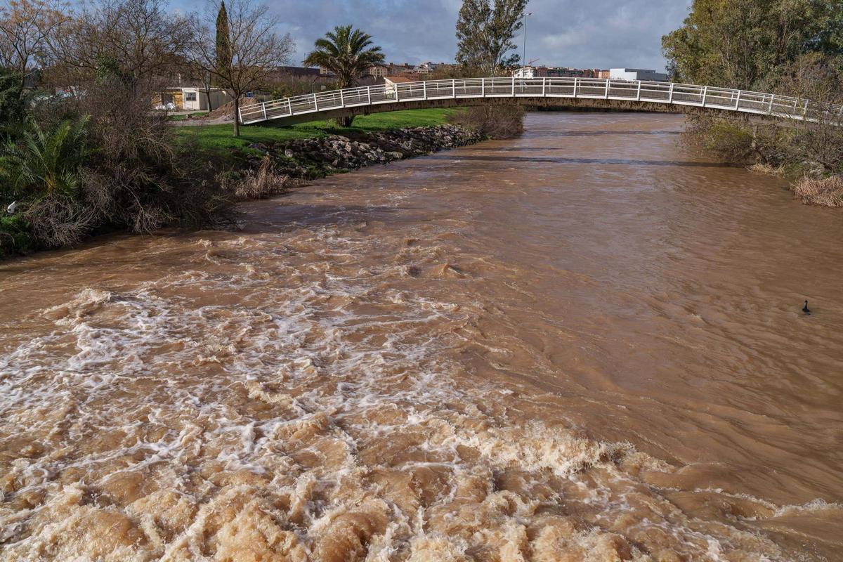 Efectos del temporal Leonardo a su paso por Mérida