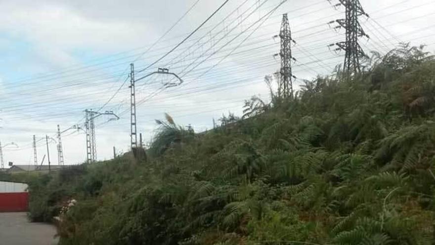 Jardín de Cantos y El Reblinco exigen que se saneen los caminos