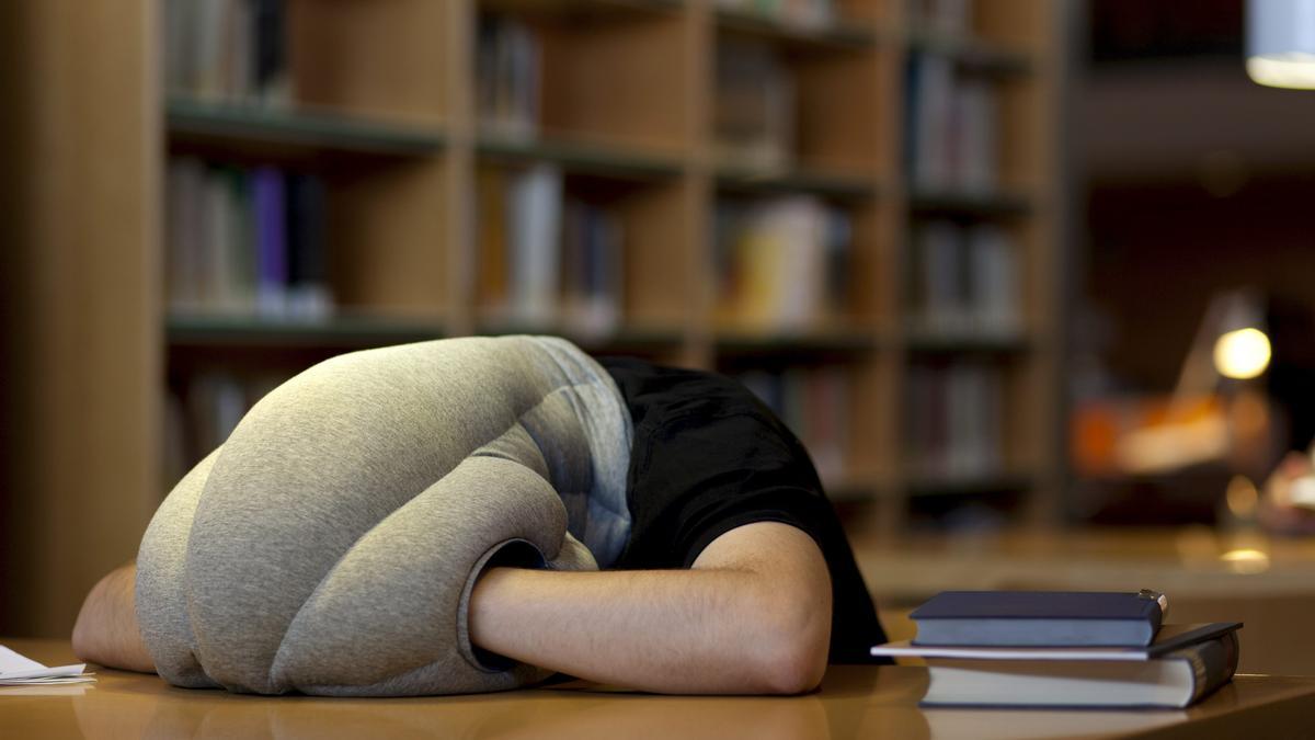 Un estudiante se echa la siesta en una sala de estudio