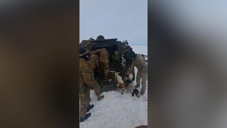 Ola polar en Argentina: el ejército rescata a un hombre y a sus 13 perros que llevaban un mes aislados en una cabaña por la nieve