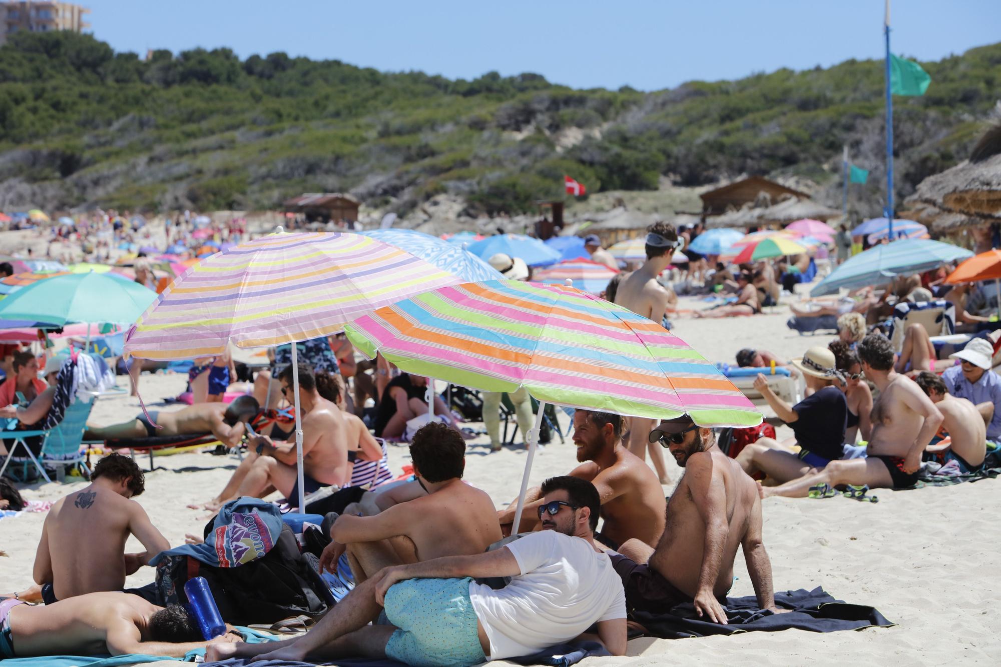 Wie im Hochsommer. So vergnügen sich schon jetzt die Urlauber an der Cala Agulla bei Cala Ratjada