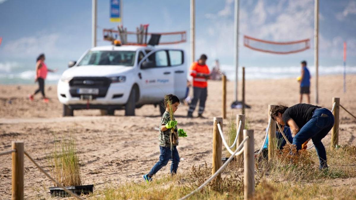 Jornada de recuperación de dunas el domingo pasado en Castelldefels