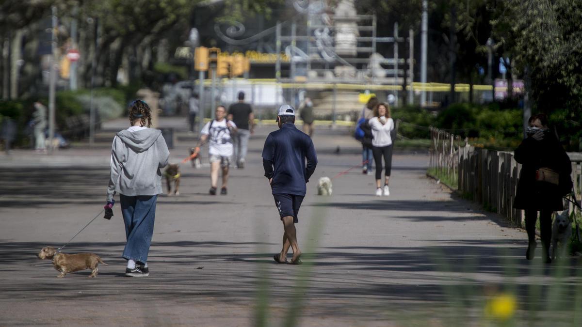 Personas paseando a sus perros por la calle