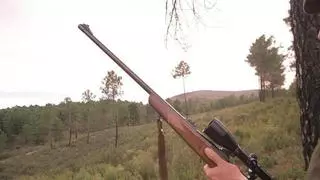 Estos son los días hábiles de caza esta temporada en Extremadura