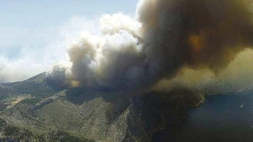 Un lustro del mayor incendio forestal de la Serra