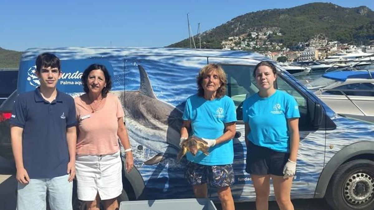 La tortuga marina rescatada en Andratx.