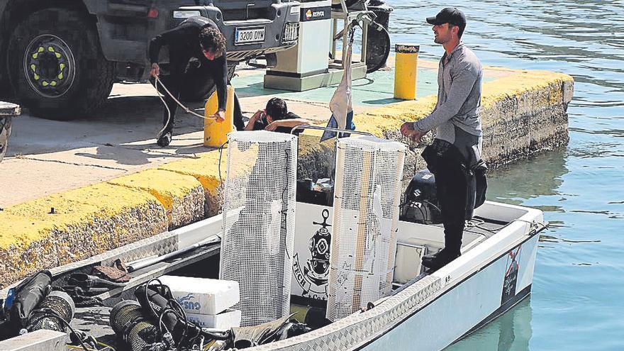 In diesen Reusen werden die Muscheln ins Wasser gelassen.