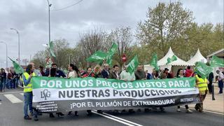 Los agricultores de Tierra de Barros reclaman soluciones a los problemas urgentes del campo