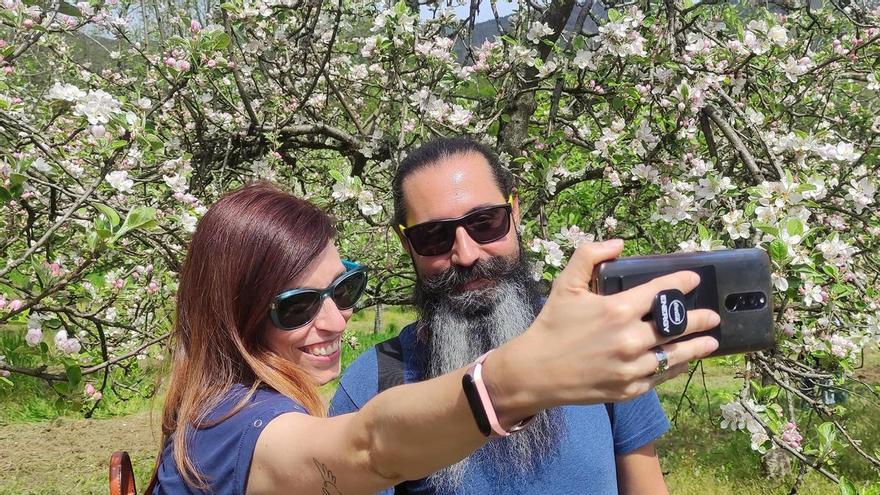 Explosión de color en las pumaradas de Asturias: las mejores propuestas para disfrutar de la floración de los manzanos y del turismo de sidra esta primavera