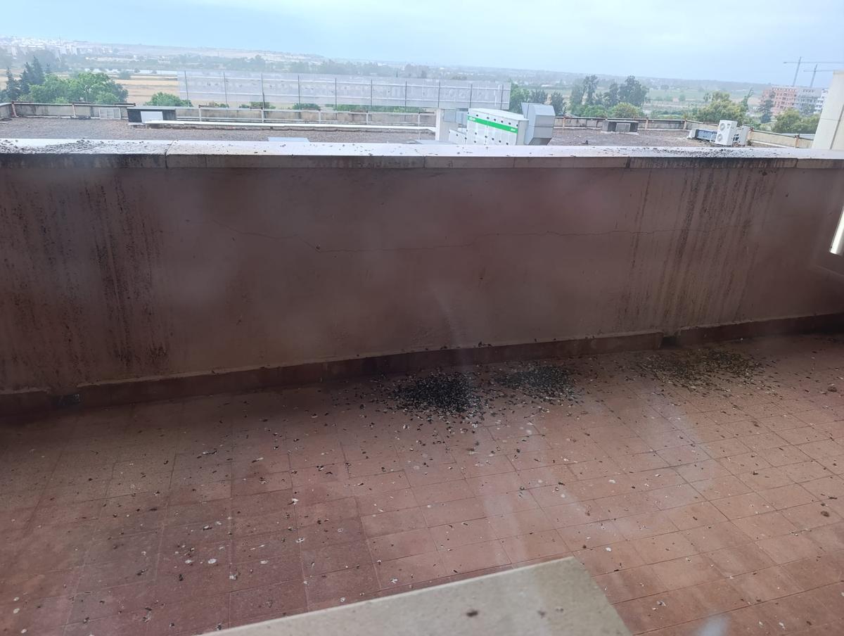 Aspecto que presenta una de las terrazas del Hospital Universitario de Badajoz.