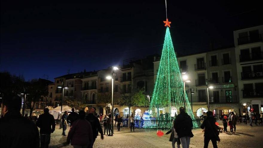 Dromedarios y ocas se unirán a los reyes magos en la cabalgata de Plasencia