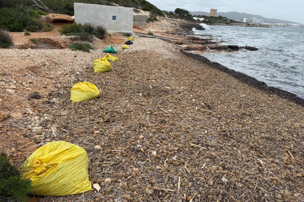 Bolsas con restos del barco incendiado recogidos por algunos propietarios de varaderos. | J.A.C.