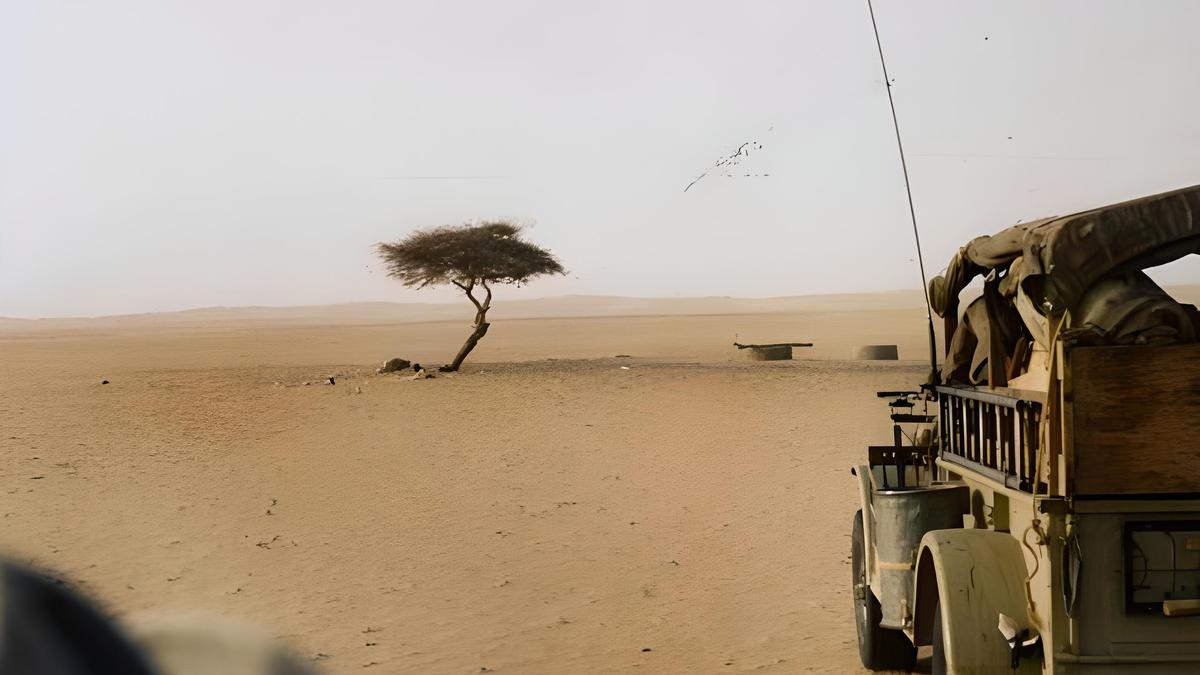 Árbol del Teneré desierto