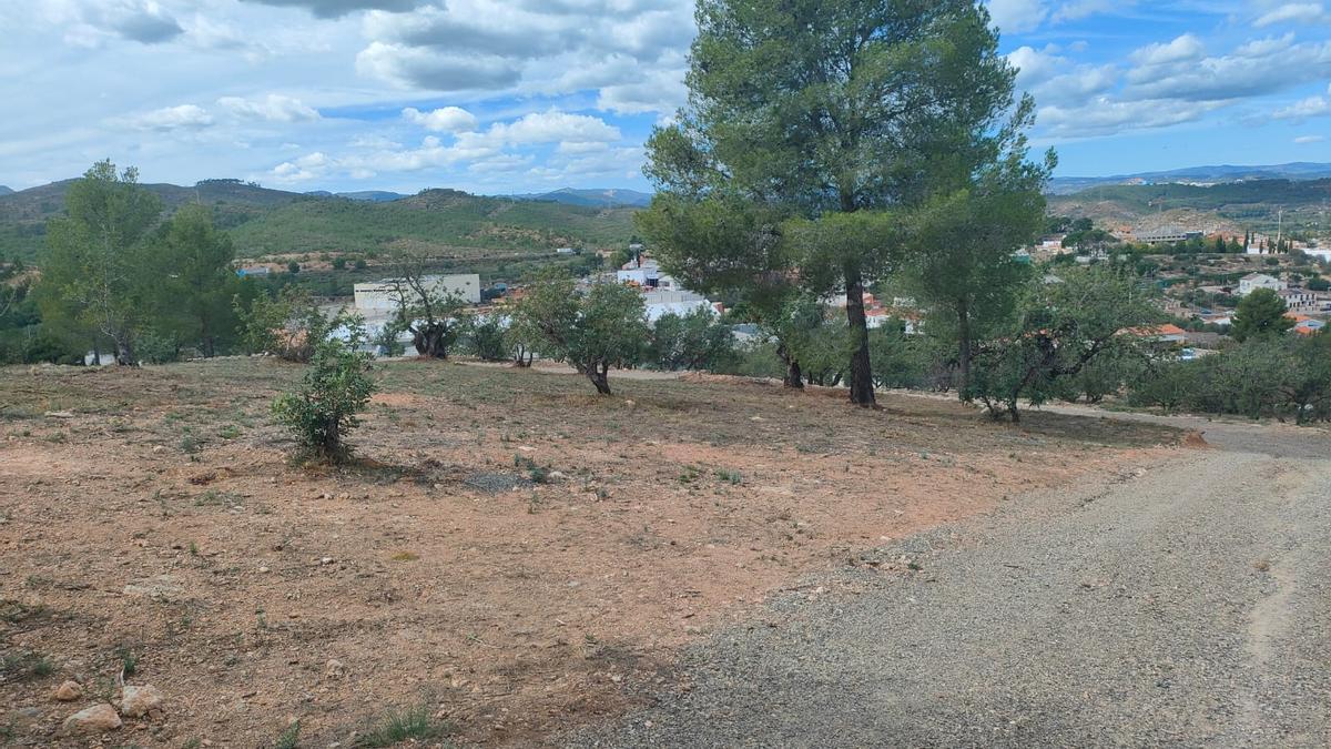 Los trabajos se han llevado a cabo en la zona del Monte Hoyo.
