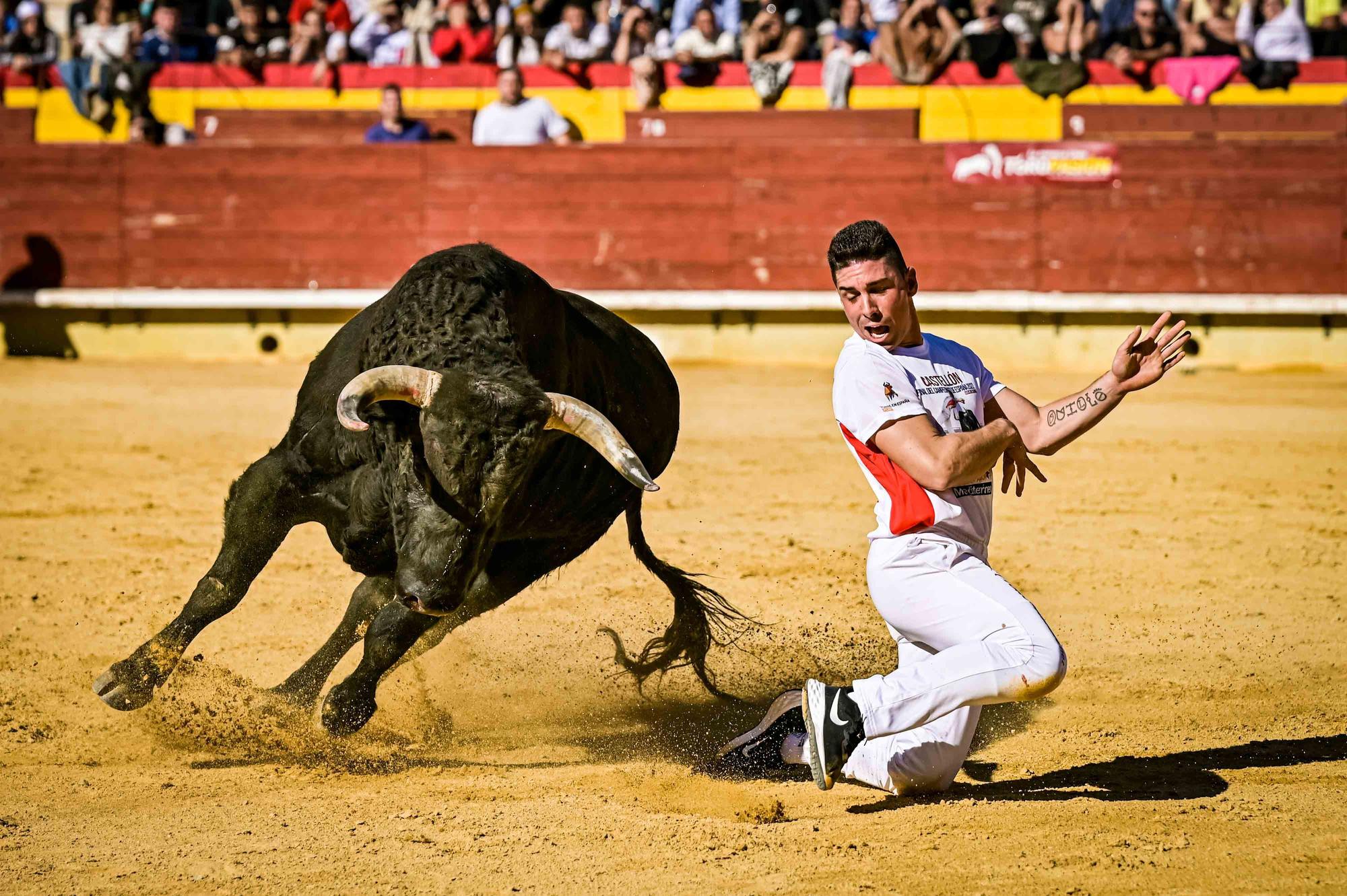 Final del campeonato de España de recortadores en Castelló