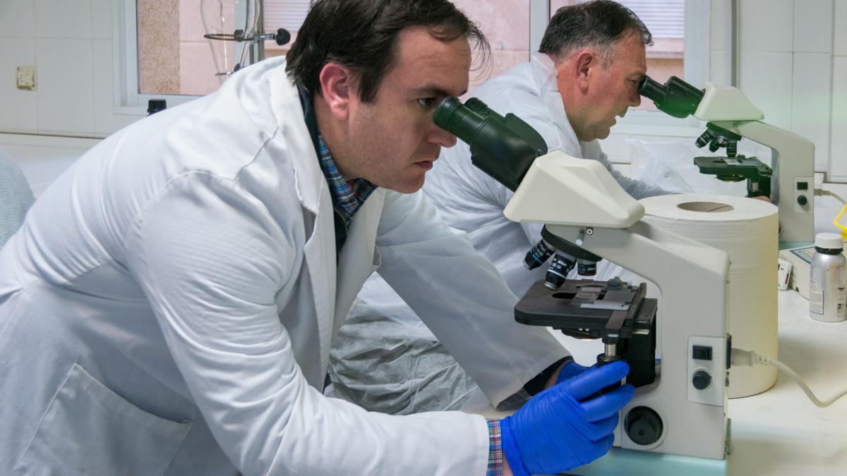 Colegiados trabajando. La labor sanitaria de la Veterinaria es fundamental para prevenir las enfermedades de origen animal.