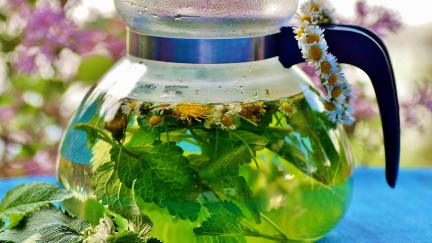 The Four Best Infusions for Weight Loss and Flat Belly