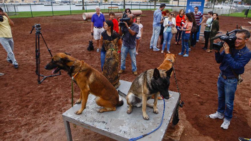 Presentación de la campaña &#039;De vacaciones con mi perro&#039;, en la capital grancanaria a mitad de 2014.