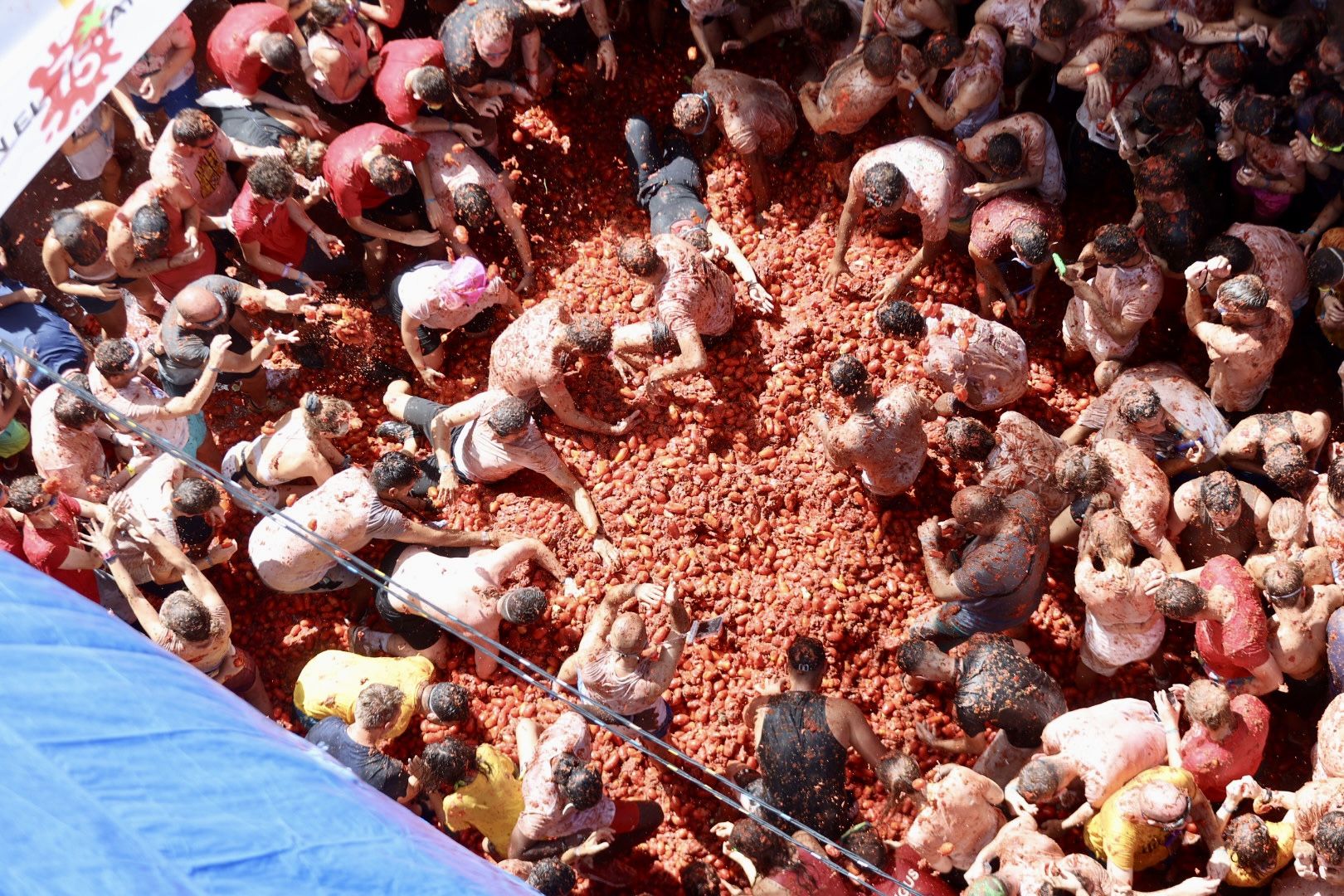 Fallas y Hogueras se empapan de Tomatina