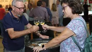 Montilla marida sus vinos con la gastronomía cordobesa