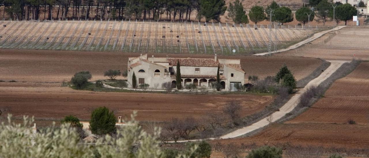Una imagen del paisaje en Fontanars dels Alforins, dominado por las viñas y los olivares. | PERALES IBORRA