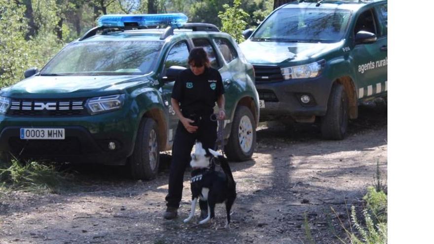 El coordinador del Grup Especial Caní dels Agents Rurals: «Els gossos ens ajuden a buscar les causes dels incendis, verins o animals»