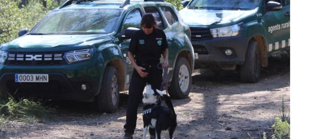 Una agent rural amb un gos del Grup Especial Caní