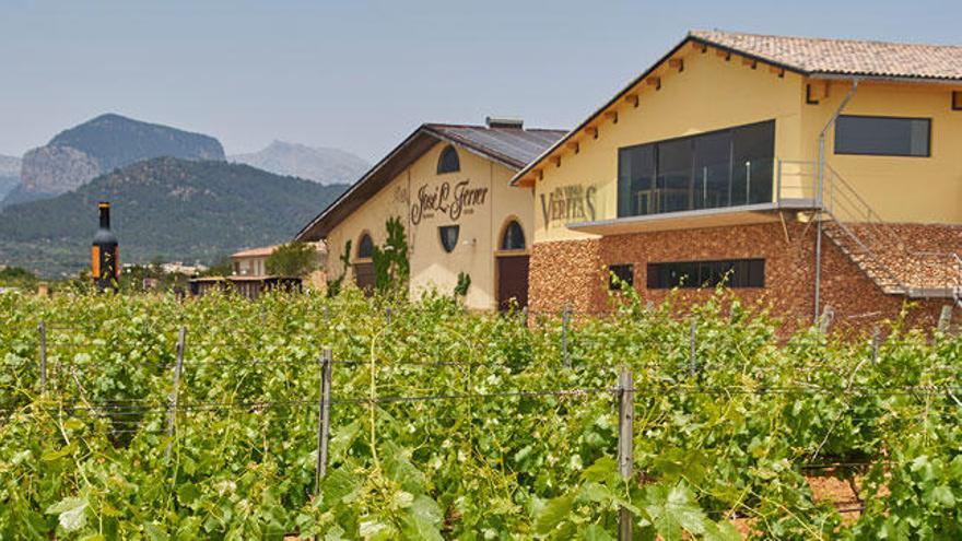 La bodega de Binissalem cuenta con diferentes espacios como la nueva zona Veritas, donde se pueden degustar los vinos con unas vistas excepcionales sobre la viña.
