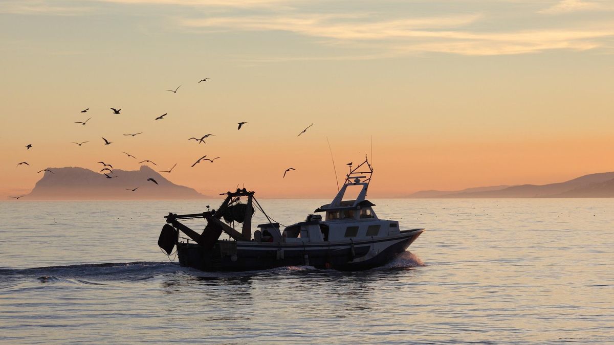 Andalusian fleet fishing boat Andalusian fleet fishing boat