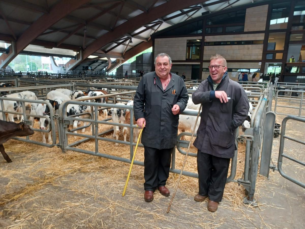 El mercado de ganado de los jueves en Siero: así operan los tratantes en la cita del recinto poleso