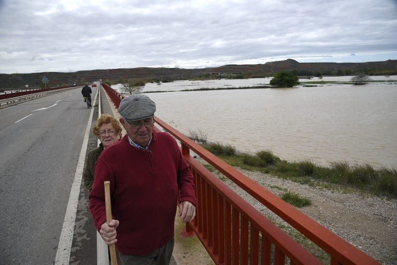 Impresionantes imágenes de la crecida del rio en Gelsa, Pinta y Quinto de Ebro