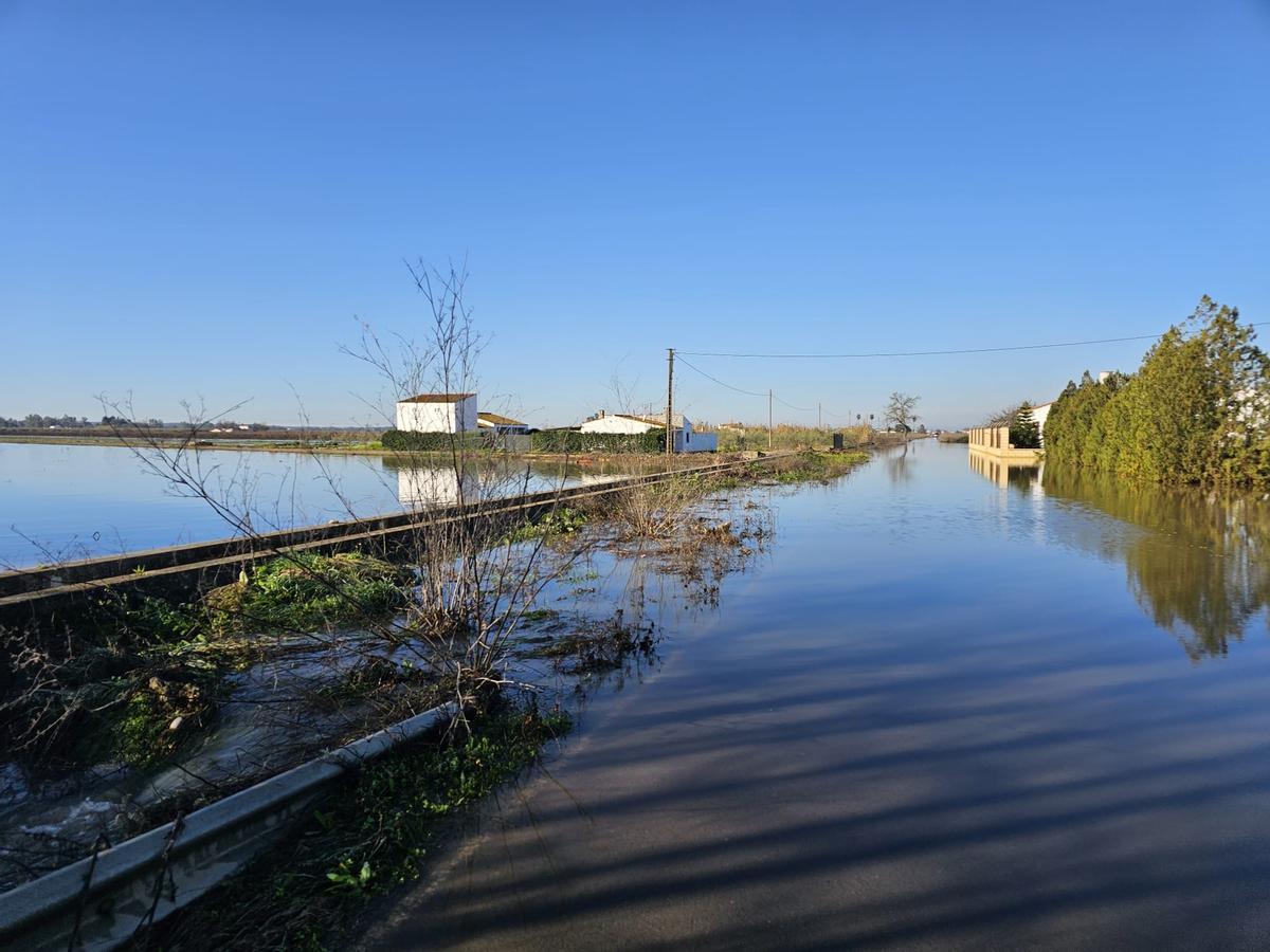 Fotogalería | Cultivos anegados en fincas de Mérida por la sucesión de borrascas