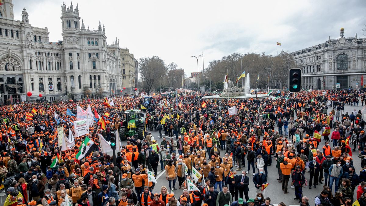 Un momento de la manifestación del mundo rural, a la altura de la plaza de Cibeles.