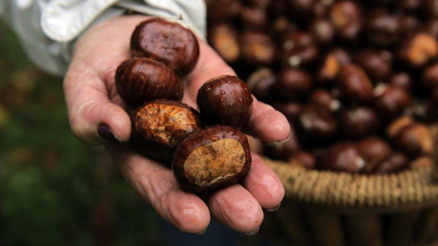 Las 100 fotos que demuestran que el otoño es la mejor época para conocer Asturias