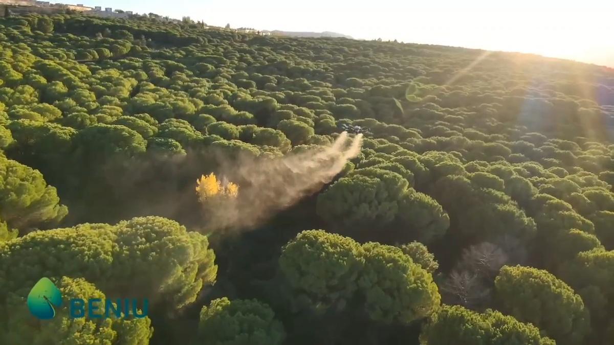 Drones usados para controlar a la procesionaria en los pinares de Málaga