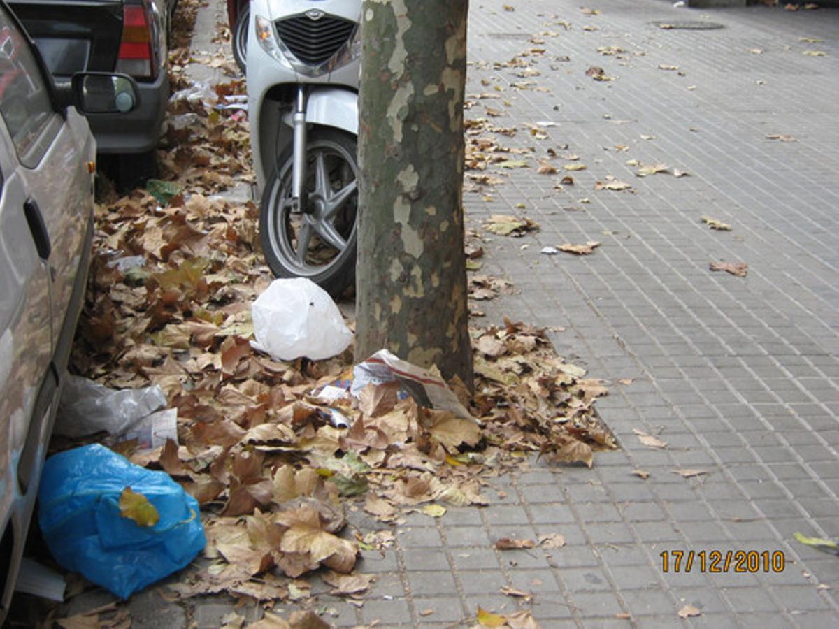 Acumulació de fulles per recollir.Els empleats de BCNeta han estat més d’una setmana sense recollir les fulles caigudes dels arbres a l’avinguda de Josep Tarradellas, de Barcelona. No obstant, les porteres i els amos o empleats de les botigues sí que les recullen, encara que les acumulen al costat de la vorada. La falta de neteja és lletja en si mateixa, però també es pot convertir en un perill, ja que trepitjar aquesta fullaraca si es va distret pot causar una relliscada i una caiguda.