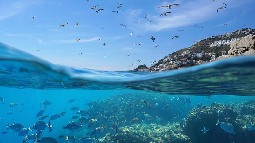 Una imagen del mar Mediterráneo.