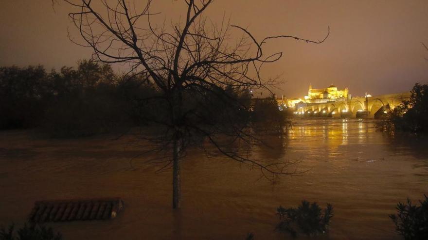 Remite el temporal y las incidencias de madrugada en Córdoba y provincia se reducen a una veintena