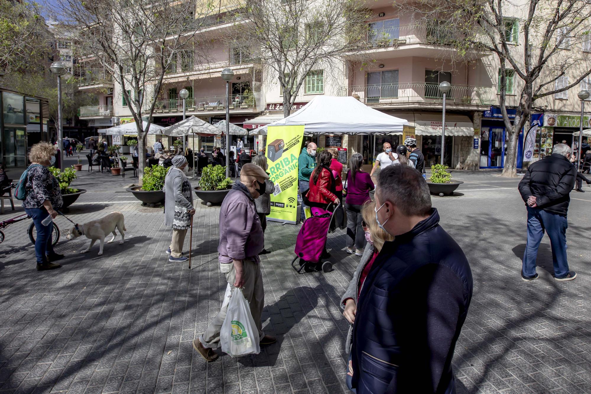 Iniciada la instalación de contenedores de recogida orgánica en otras cinco barriadas de Palma