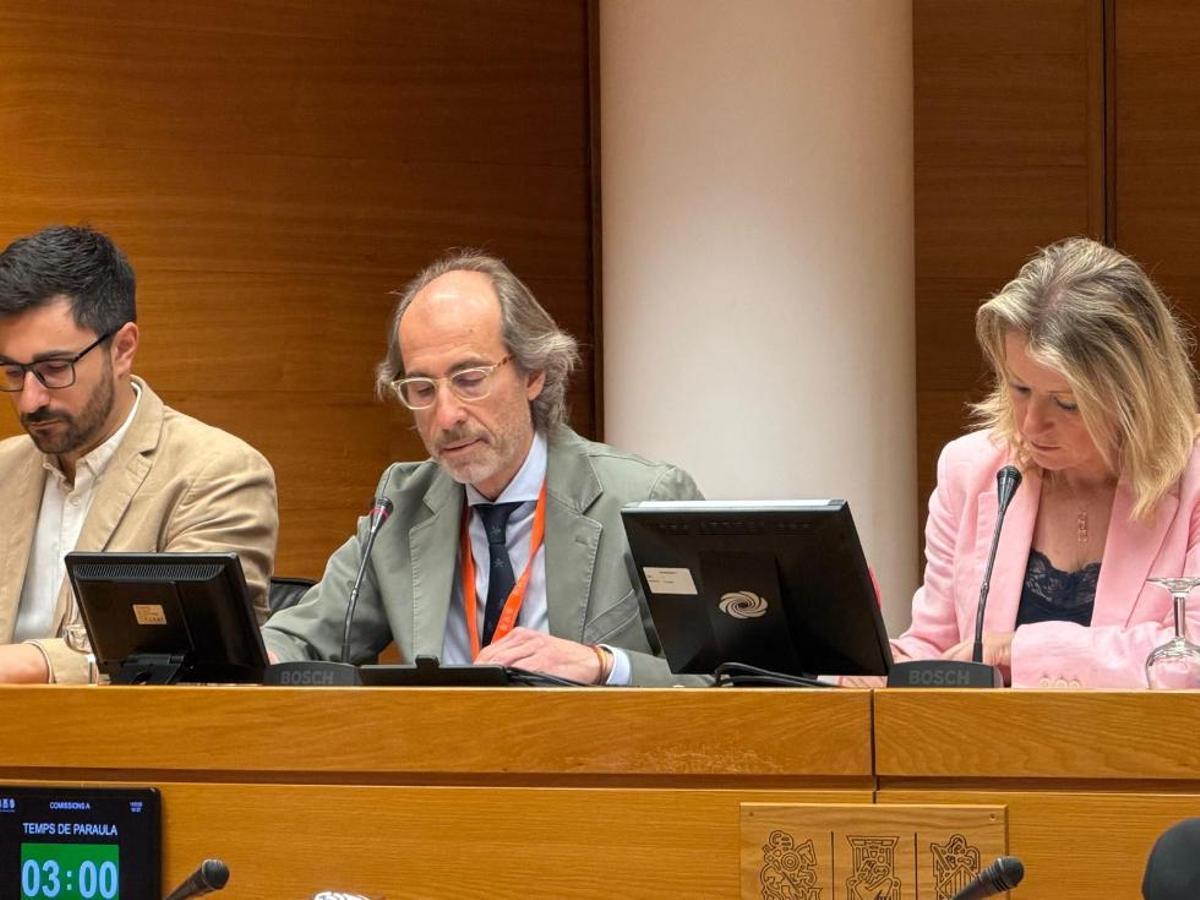 El secretario autonómico de Planificación, Información y Transformación Digital de la Conselleria de Sanidad, Bernardo Valdivieso, este martes en las Cortes