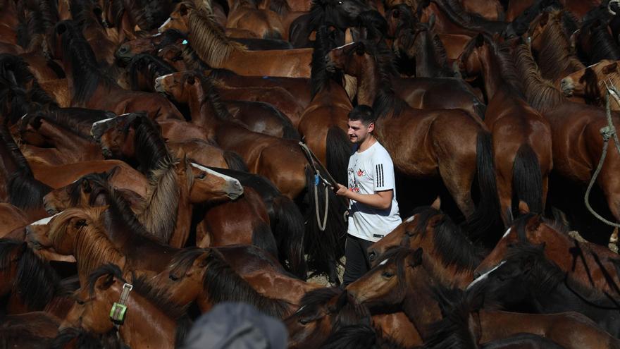 El curro de Torroña reúne a medio millar de caballos y cientos de personas
