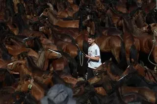 El curro de Torroña reúne a medio millar de caballos y cientos de personas