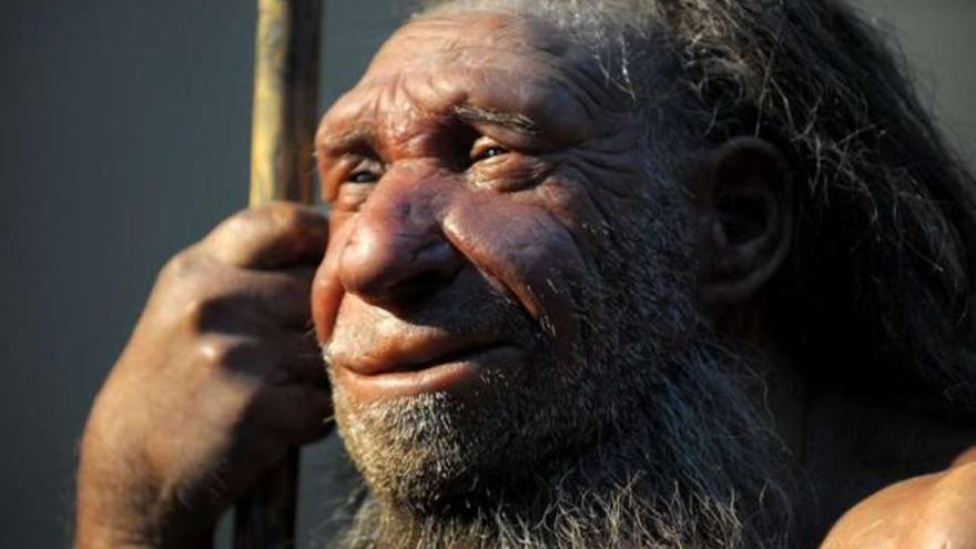 Aspecto del conocido como hombre de Neandertal. / la opinión