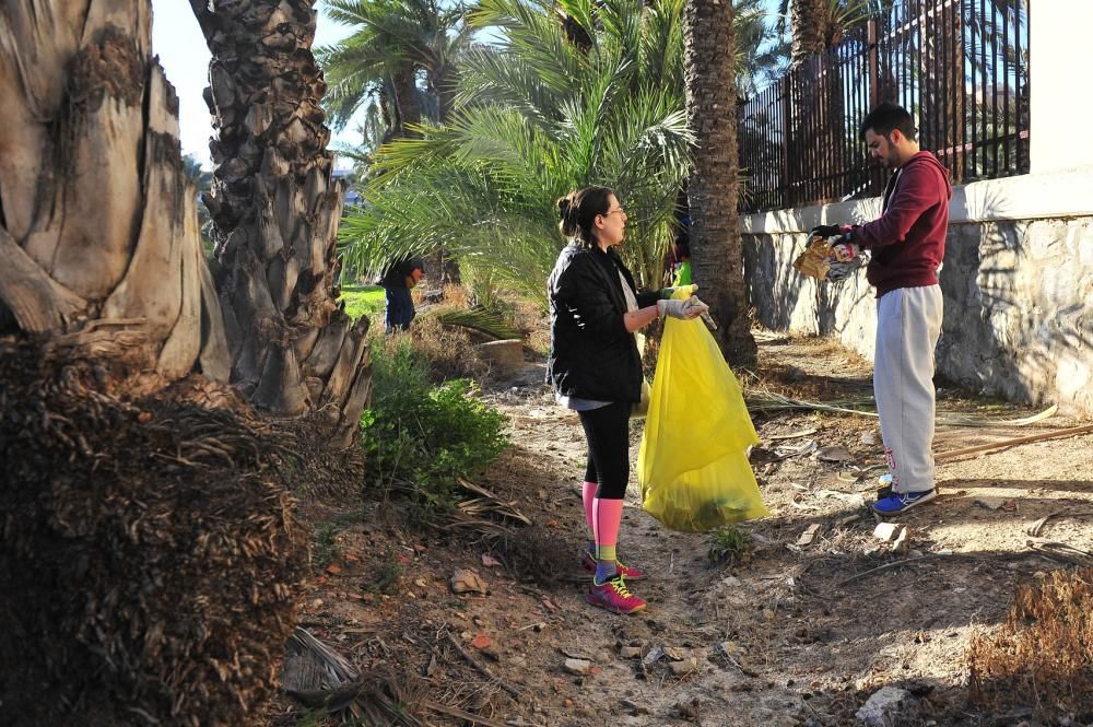 Limpieza de huertos para proteger el Palmeral