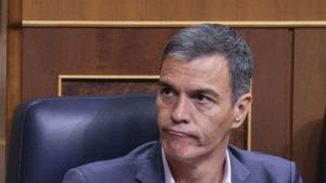 El president del Govern, Pedro Sánchez, al Congrés.  |  BORJA SÁNCHEZ-TRILLO / EFE