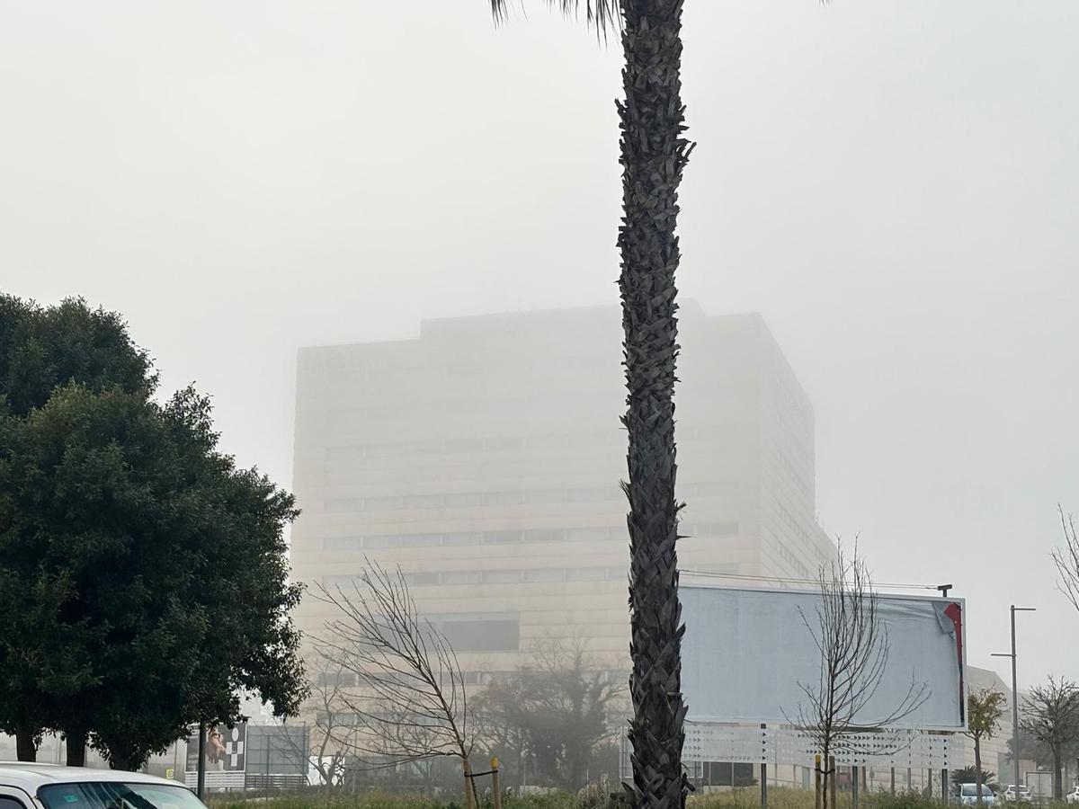 Las imágenes de la niebla en Palma
