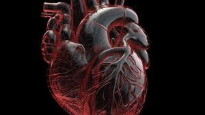 miocardiopatia, la causa principal de la muerte súbita